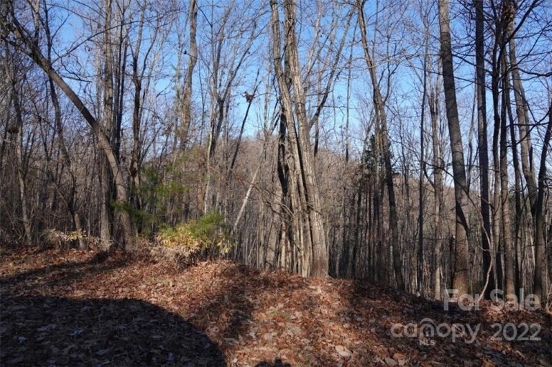 Property image 4 at 171 Luckadoo Mountain Road, Bostic, NC 28018