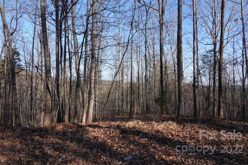 Property image 5 at 171 Luckadoo Mountain Road, Bostic, NC 28018