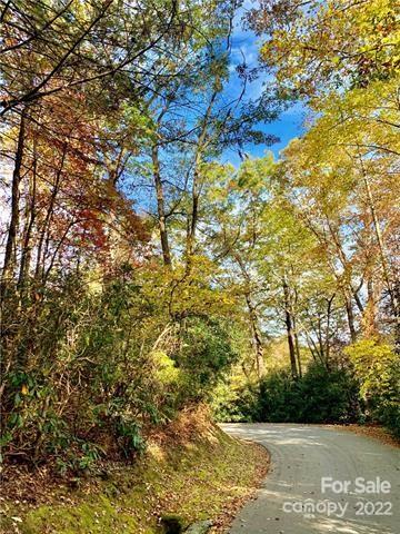 Property image 2 at Tbd Tellico Lane, Lake Toxaway, NC 28747