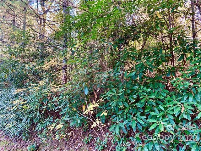 Property image 4 at Tbd Tellico Lane, Lake Toxaway, NC 28747