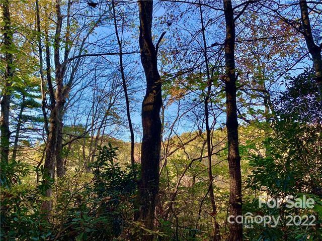 Property image 5 at Tbd Tellico Lane, Lake Toxaway, NC 28747