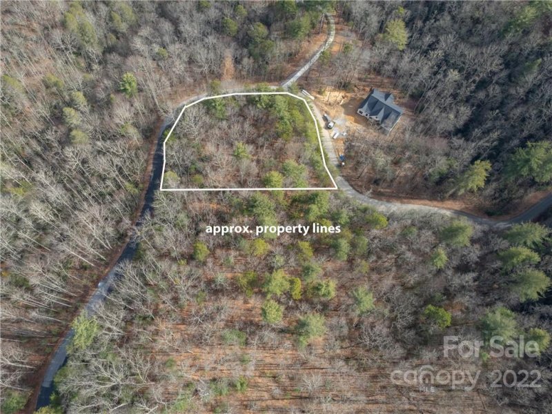 Property image 3 at 263 Falling Leaves Lane, Hendersonville, NC 28792