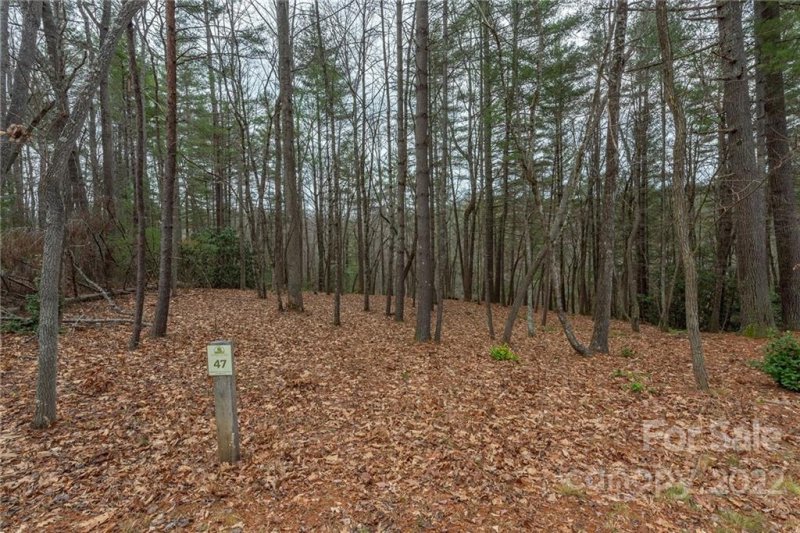 Property image 3 at 8 Brookridge Lane, Asheville, NC 28805