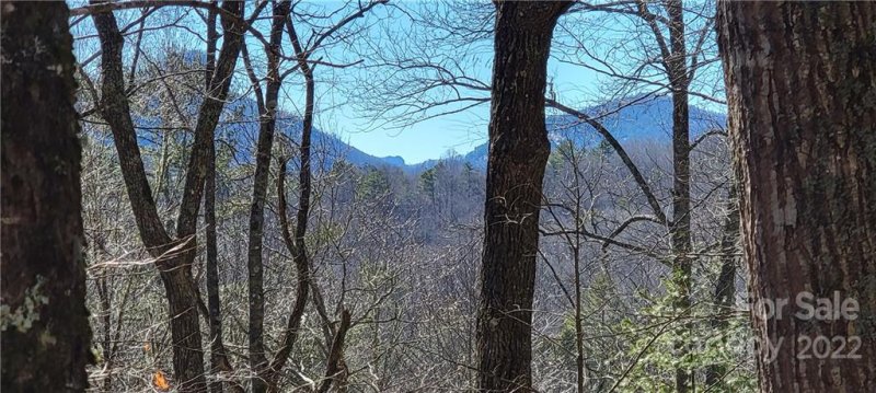 Lot 91 Black Oak Drive