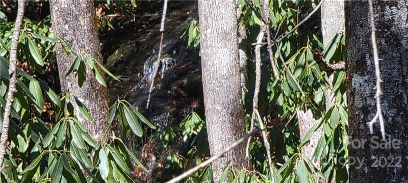 Property image 2 at Lot 91 Black Oak Drive, Sapphire, NC 28774