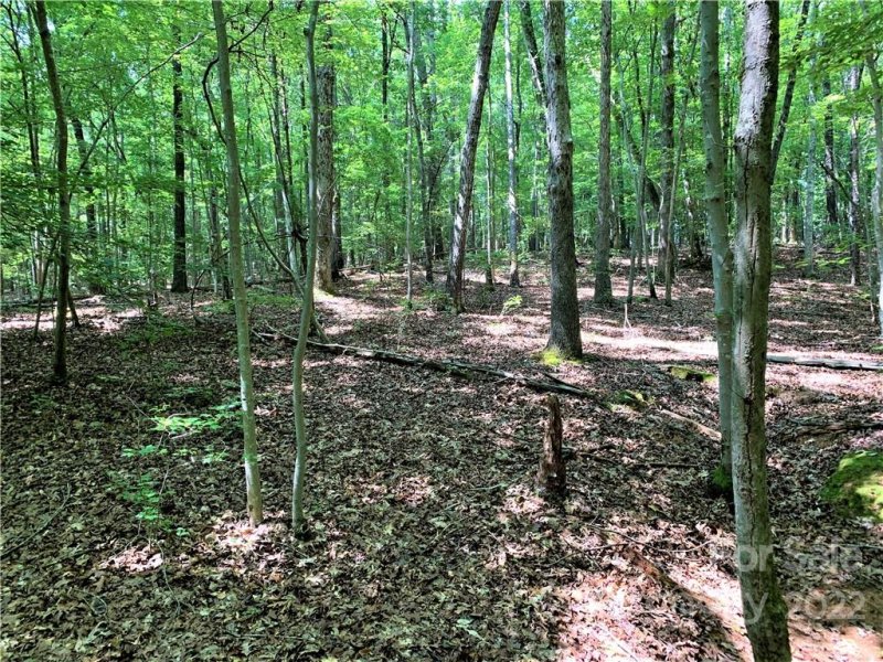 Property image 3 at 0 Nablus Road, Waxhaw, NC 28173