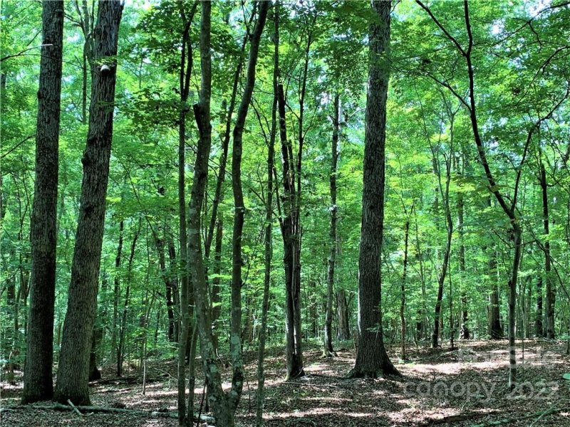 Property image 4 at 0 Nablus Road, Waxhaw, NC 28173