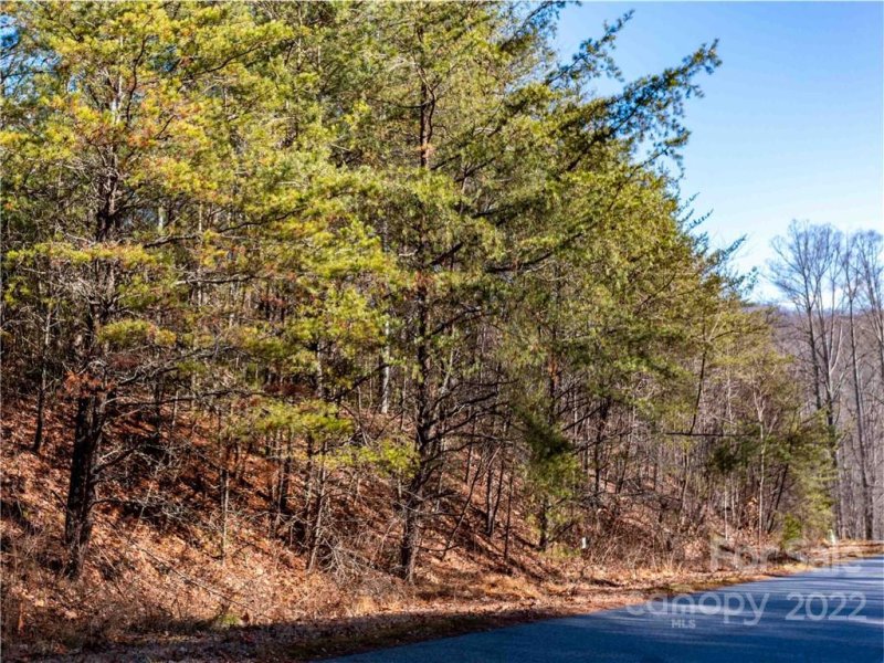 Property image 3 at 306 Summer Orchard Drive, Hendersonville, NC 28792