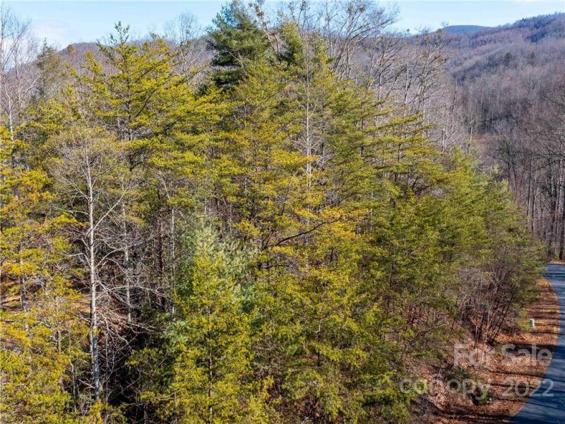 Property image 4 at 306 Summer Orchard Drive, Hendersonville, NC 28792