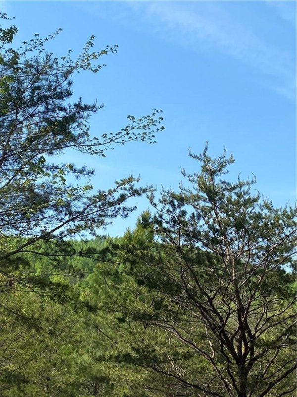 Property image 4 at Lot 30 Double Eagle Drive, Nebo, NC 28761