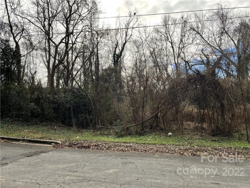 Property image 3 at Vac Brown Avenue, Albemarle, NC 28001