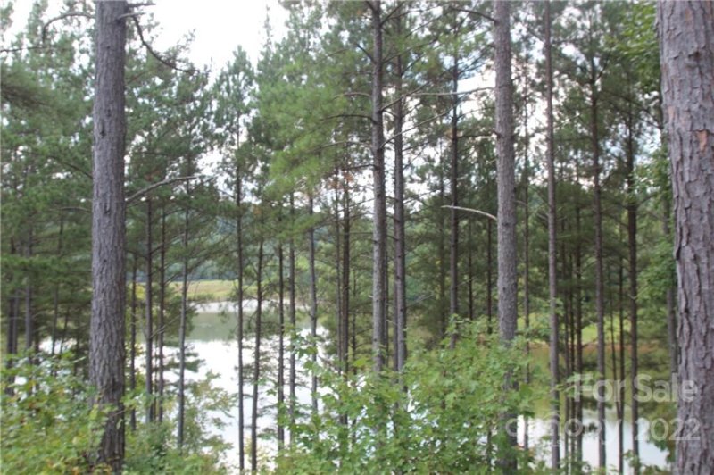 Property image 4 of 2038 2048 Inlet Shore Road in Island Pointe at Lake Vistas, Connelly Springs, NC 28612