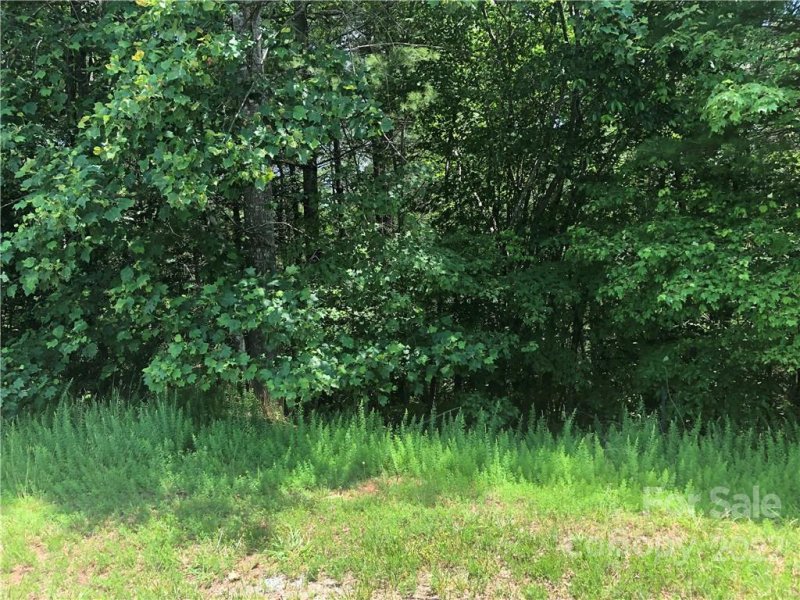 Property image 2 at Lot 43 Cedar Ridge Drive, Marion, NC 28752