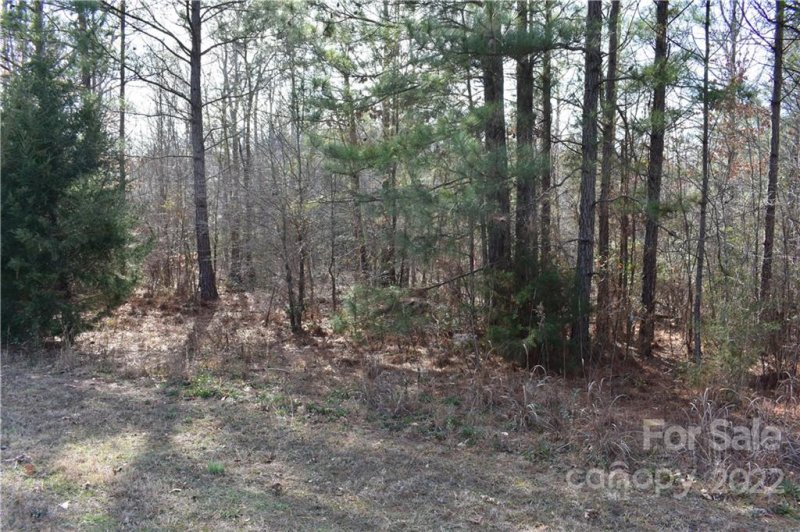 Property image 4 at 1618 Restless One Lane, Rock Hill, SC 29730