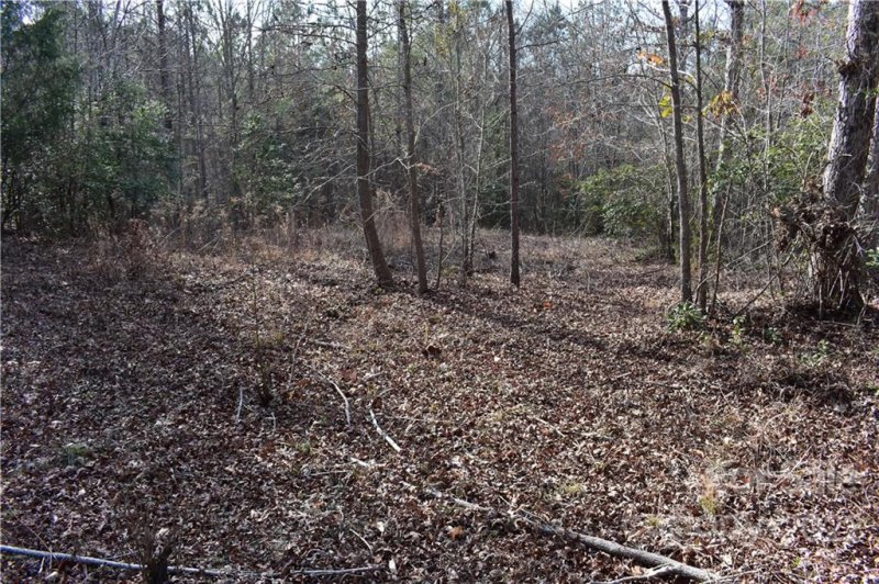 Property image 5 at 1618 Restless One Lane, Rock Hill, SC 29730