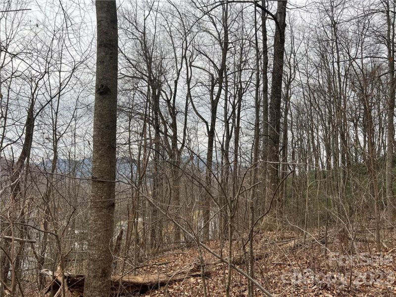 Property image 3 at Lot 32 Grand Oaks Drive, Hendersonville, NC 28792
