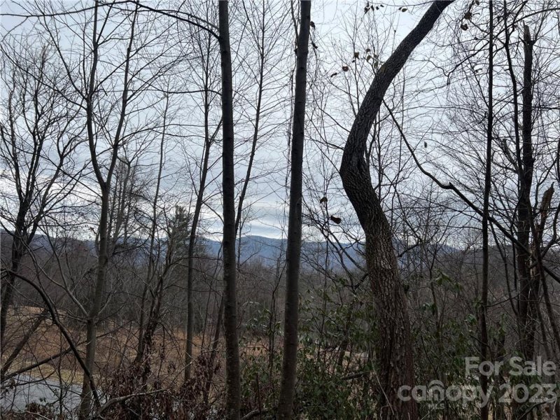 Property image 4 at Lot 32 Grand Oaks Drive, Hendersonville, NC 28792