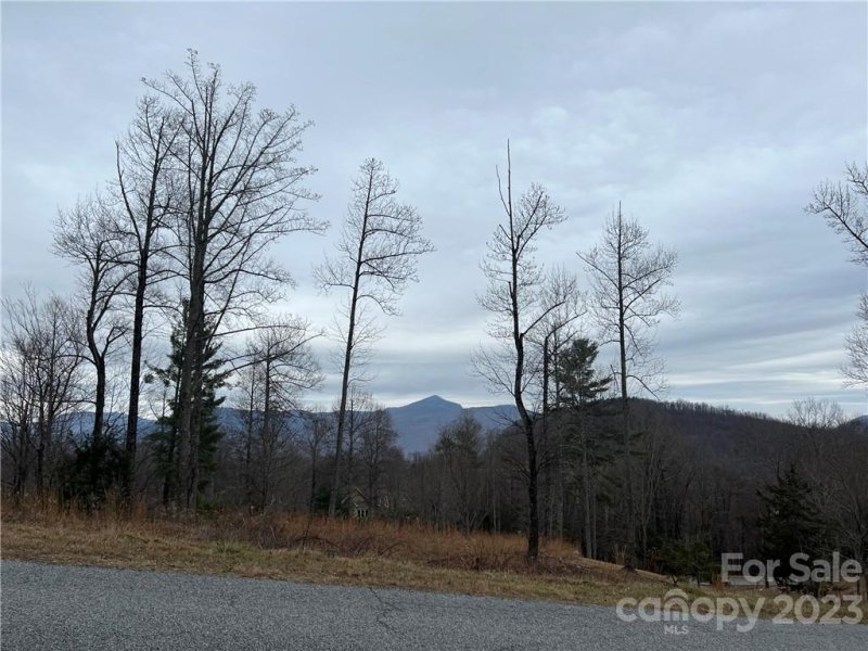Property image 5 at Lot 32 Grand Oaks Drive, Hendersonville, NC 28792