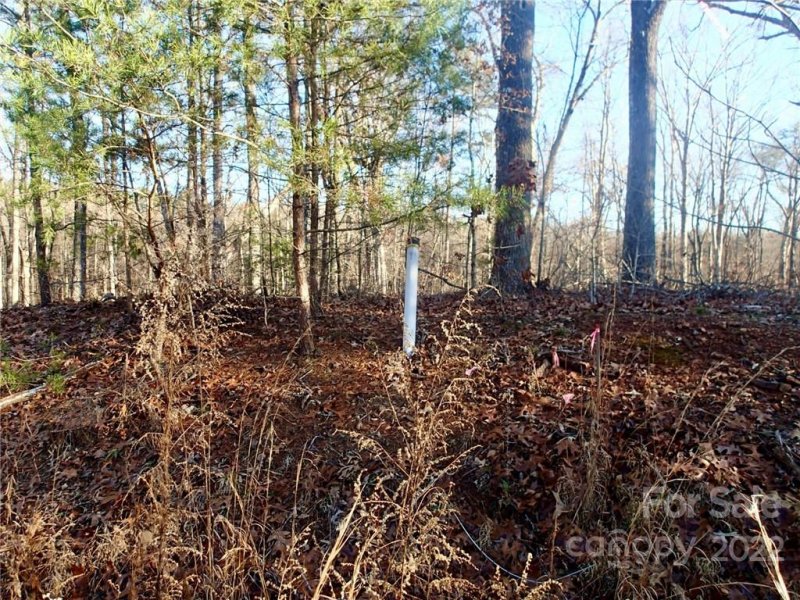 Property image 4 at 0 Walkaloosa Way, Mooresboro, NC 28114