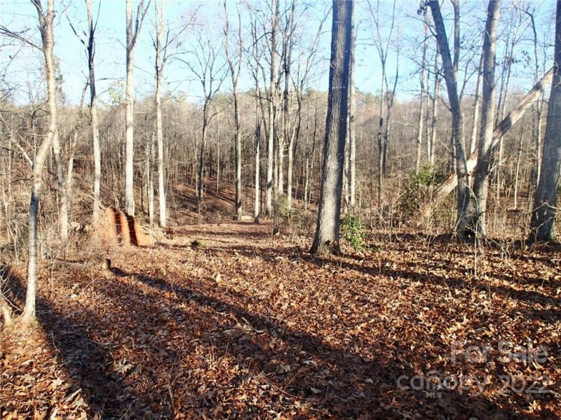 Property image 5 at 0 Walkaloosa Way, Mooresboro, NC 28114