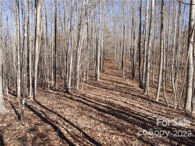 Property image 5 at 180 Black Lark Drive, Marion, NC 28752