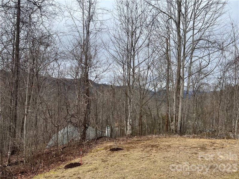 Property image 4 at 860 Safari Drive, Sylva, NC 28779