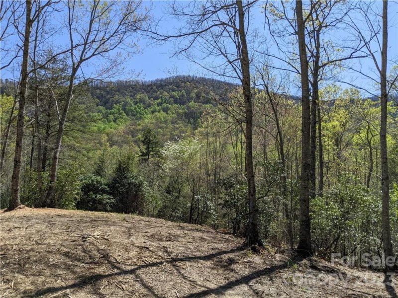 Property image 2 at C28 Nuthatch Lane, Black Mountain, NC 28711