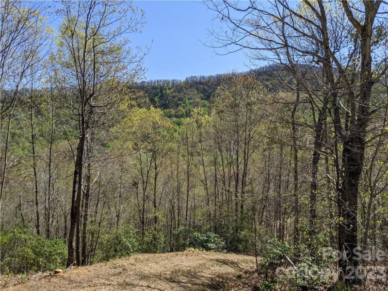 Property image 3 at C28 Nuthatch Lane, Black Mountain, NC 28711