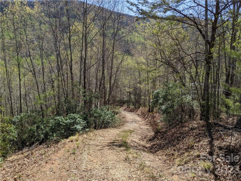 Property image 4 at C28 Nuthatch Lane, Black Mountain, NC 28711