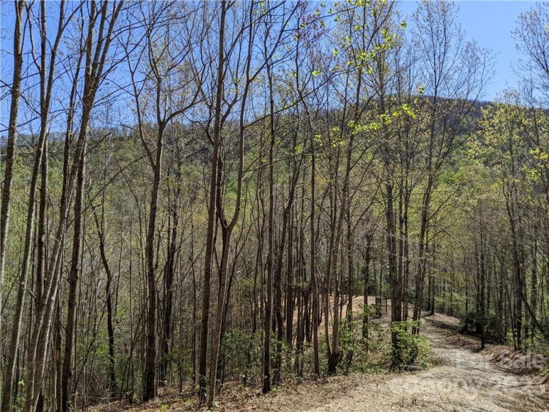 Property image 5 at C28 Nuthatch Lane, Black Mountain, NC 28711