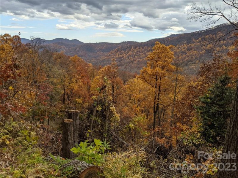 Property image 2 at 473 Kestrel Lane, Black Mountain, NC 28711