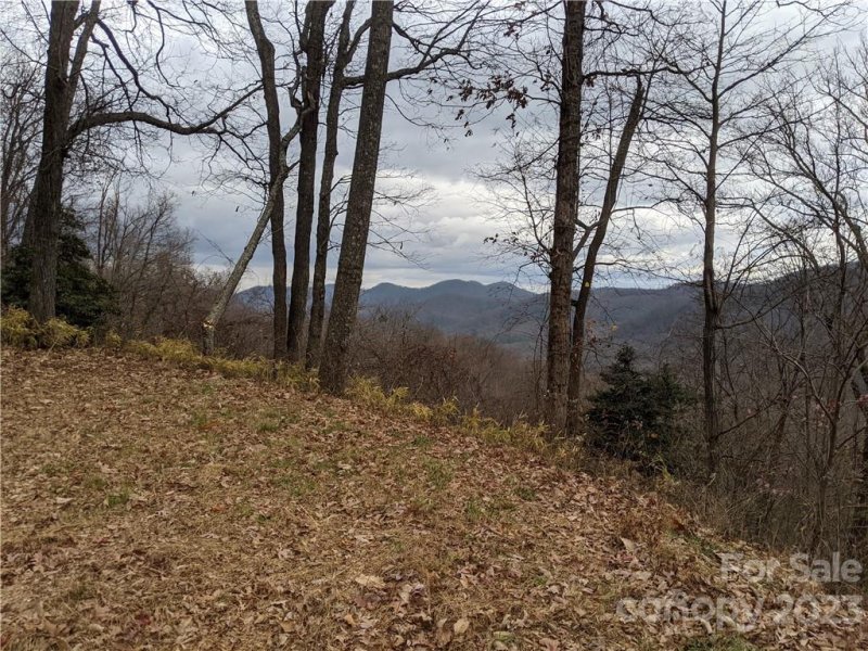 Property image 4 at 473 Kestrel Lane, Black Mountain, NC 28711