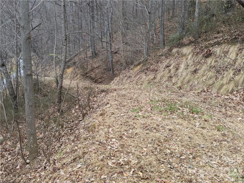 Property image 5 at 473 Kestrel Lane, Black Mountain, NC 28711