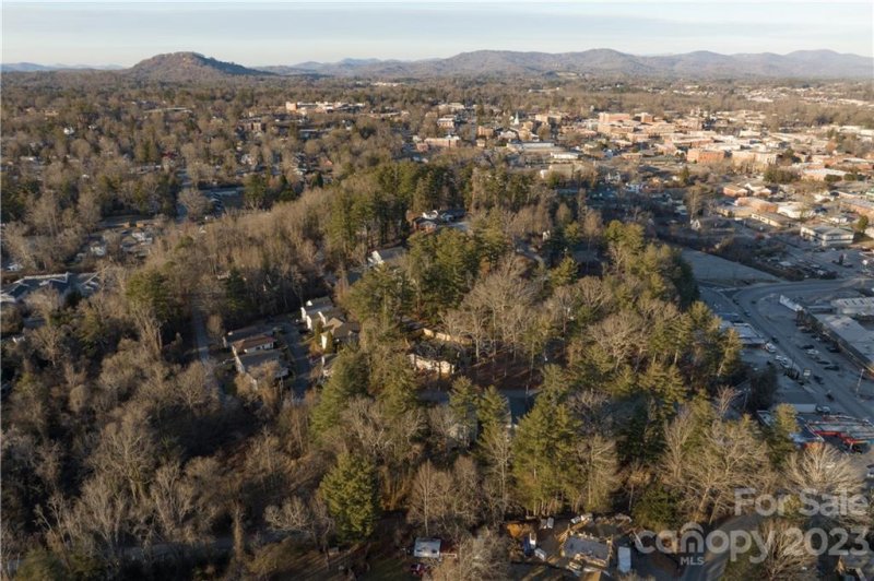 Property image 4 at 514 Toms Hill Drive, Hendersonville, NC 28739