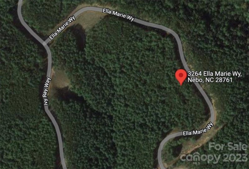 Property image 2 at 3264 Ella Marie Way, Nebo, NC 28761
