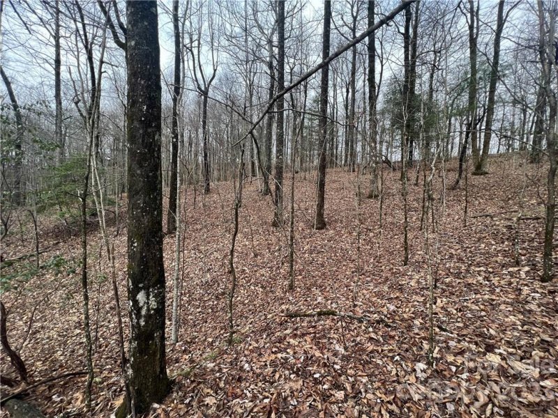 Property image 4 at 999 Indian Camp Mountain Road, Rosman, NC 28772