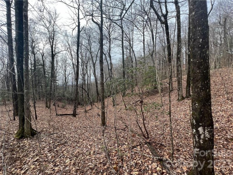 Property image 5 at 999 Indian Camp Mountain Road, Rosman, NC 28772