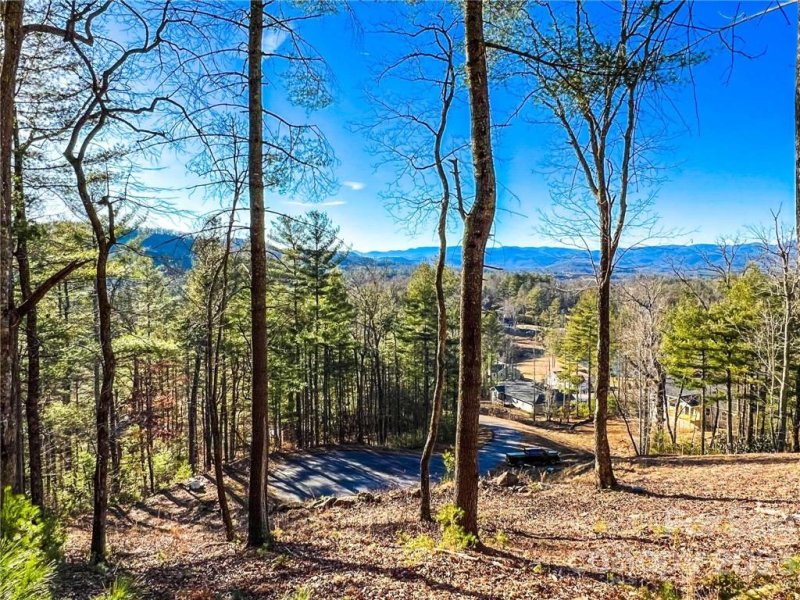 Property image 2 at 237 Crystal Mountain Drive, Hendersonville, NC 28739