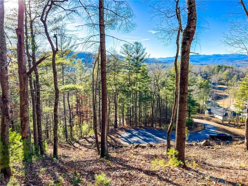 Property image 4 at 237 Crystal Mountain Drive, Hendersonville, NC 28739