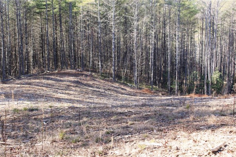 Property image 3 at 2332 Bent Bow Drive, Lenoir, NC 28645