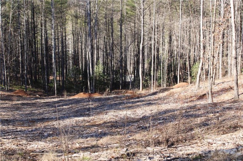 Property image 4 at 2332 Bent Bow Drive, Lenoir, NC 28645