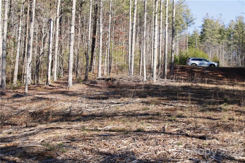 Property image 5 at 2332 Bent Bow Drive, Lenoir, NC 28645