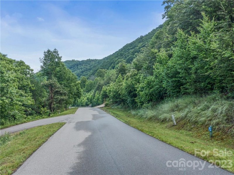 Property image 4 at 156 View Ridge Parkway, Leicester, NC 28748