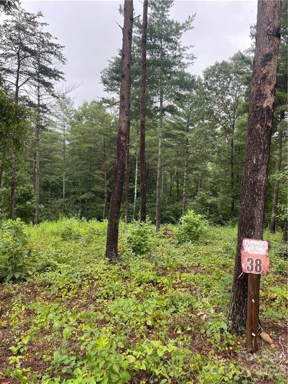 Property image 2 at 3146 Bear Paw Avenue, Valdese, NC 28690