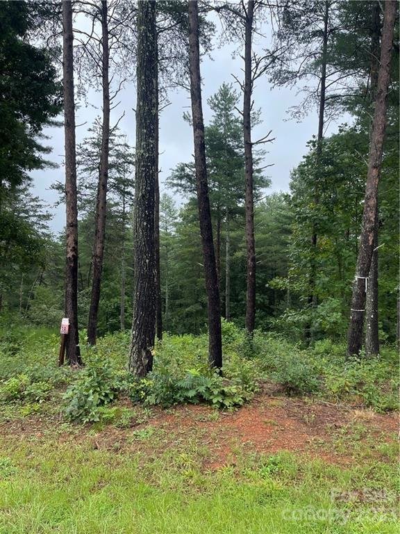 Property image 3 at 3146 Bear Paw Avenue, Valdese, NC 28690