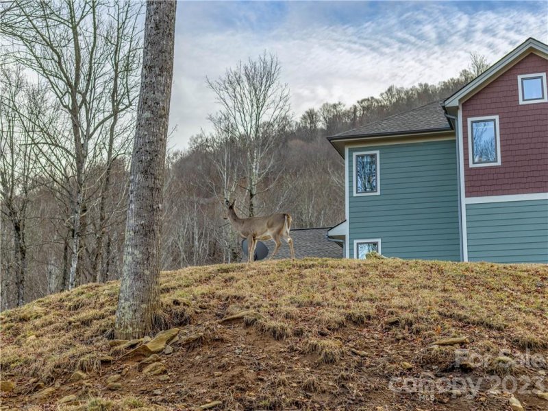 Property image 4 at 174 Olivia Loop, Mars Hill, NC 28754