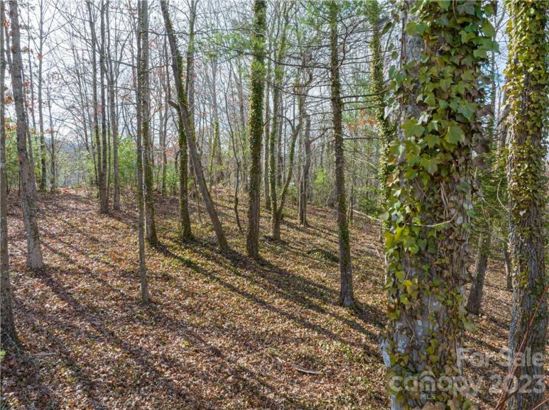 Property image 3 at 7 Magnolia View Trail, Asheville, NC 28804