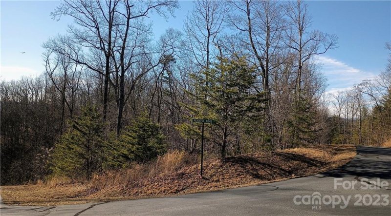 Property image 5 at 108 Mountain Brook Trail, Nebo, NC 28761