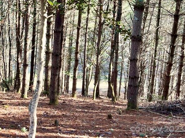 2 29 Acres Lot 94 Crescent Ridge Drive