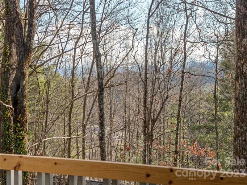 Property image 5 at 284 Laurel Park Place, Hendersonville, NC 28791